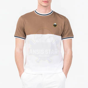 T-shirt pour hommes 100% coton col rond personnalisé OEM Logo personnalisé couleur Design T-shirt pour hommes vente en gros - Product Image 1