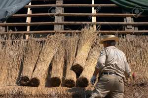 Toit de chaume en jonc de mer en gros: écologique, idéal pour les maisons africaines ou les cabanes de plage, exporté du Vietnam - Product Image 5