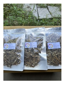 Pescado de anchoa seco de alta calidad Buen suministro de precio para anchoas-Pescado de anchoa seco - Product Image 6