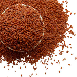 Cress |   Idéal pour les micro-légumes |   Herbe à récolter rapidement - Product Image 4