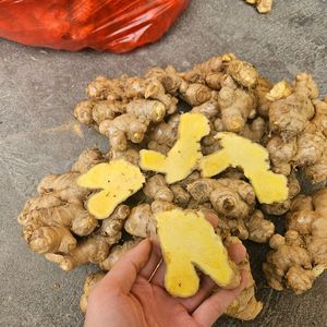 Jengibre fresco cultivado en Vietnam para uso culinario Remedios herbales Infusiones de té - Product Image 2