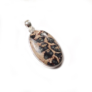 Pendentif en argent sterling 925 avec pierre précieuse fossile de crinoïde ovale |   Bijoux en fossiles naturels, prix de gros en vrac - Product Image 4