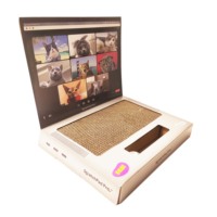 Scratch Pad Pro Laptop Scratcher Cat Toy Juguete de computadora único con pegatinas