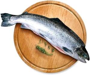 Salmón Fresco Congelado de Alta Calidad al por Mayor, Entrega Rápida y Mejor Precio, en Existencia, Listo para la Venta en el Mercado - Product Image 1