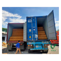 Rouleaux de fibres de coco naturelles du Vietnam pour l'agriculture biologique, la protection du sol et la rétention de l'humidité