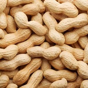 Arachides fraîches naturelles, arachides de qualité supérieure, délicieuses collations grillées en vrac, parfaites pour les achats en gros - Product Image 5