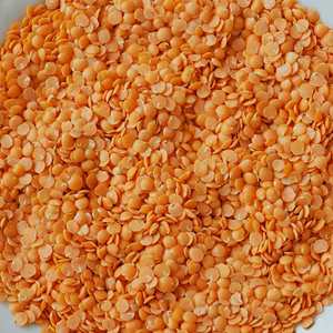100% Natural Red <b>Lentils</b> Available Dried Red <b>Lentils</b> Bulk Sale for Export Packed with Freshness - Product Image 1