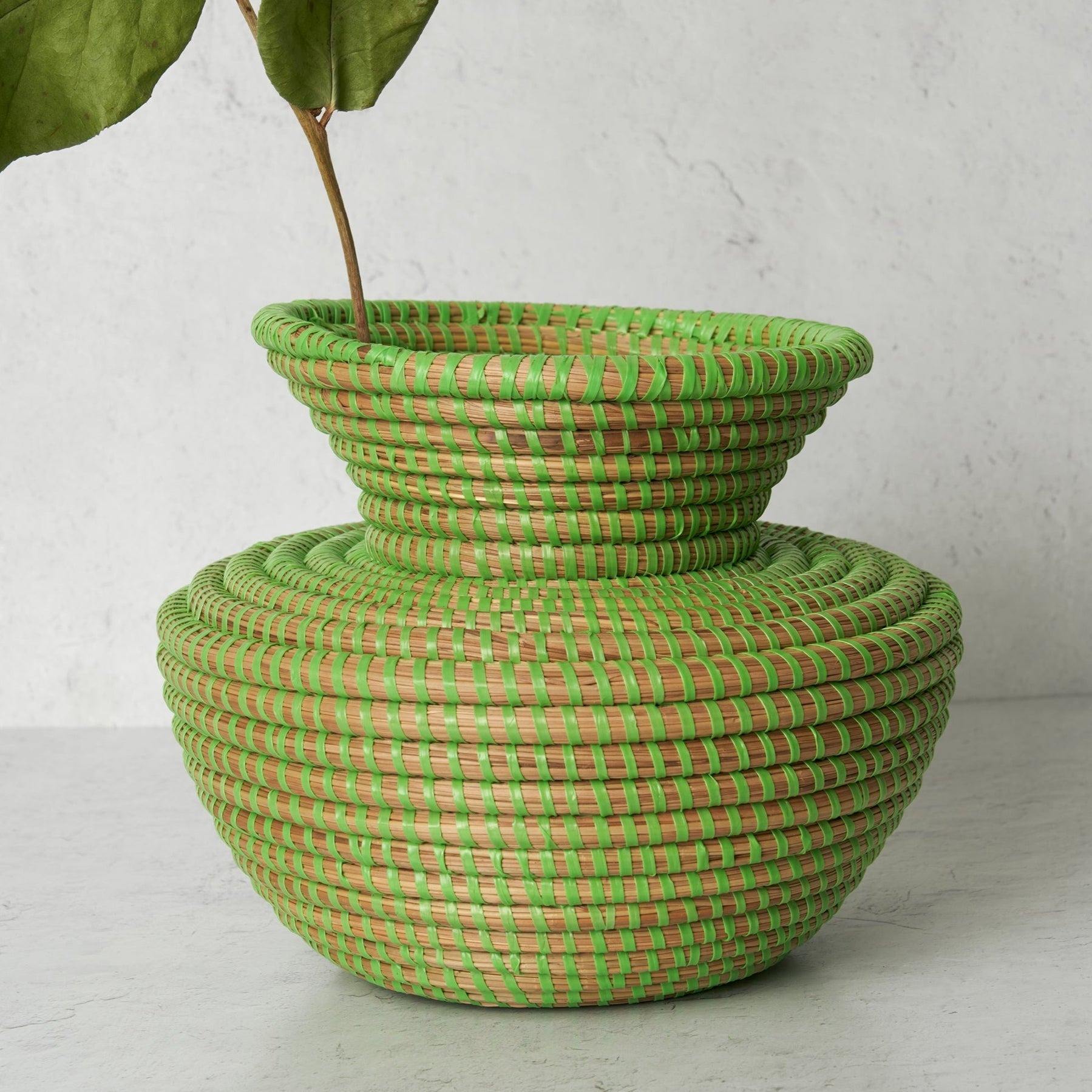 ธรรมชาติ