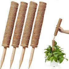 Poteaux de coco de coco pour le jardinage pour l'agriculture Grimpez au succès - Product Image 2