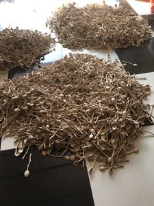 Cuillère en bois durable faite à la main avec maillon de chaîne aspect naturel classique idéal pour le camping, la randonnée, la cuisine en plein air et l'utilisation quotidienne - Product Image 5