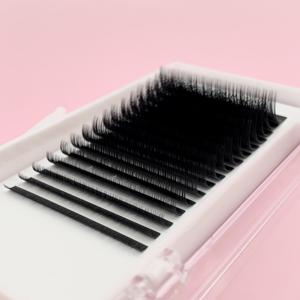 Precio barato caja 12 línea extensión de pestañas fábrica Full Curl Mink OEM recién llegado coreano PBT fibra Ultra ligero pestañas ODM - Product Image 6