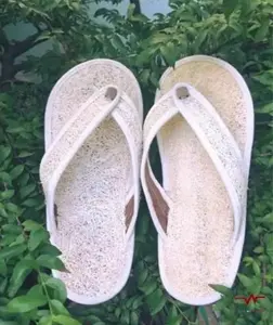 Viet Nam High Quality Ecofriendly Dried Loofah Slippers With the competitive at 99 GD