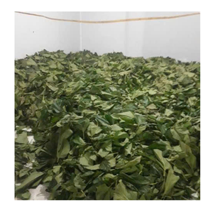 ทุเรียนเทศแห้งใบทุเรียนเทศแห้งสำหรับส่งออกจากข้อมูลทองคำ99ใบ - Product Image 5