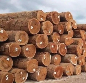 Dimensionnement personnalisé Grumes de bois dur de qualité exportation Bois de pin et d'épicéa pour meubles Motif carré Type Tali - Product Image 5