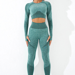 2 Piece Gym Activewear Workout Long Sleeve Comfortable Seamless Fitness <b>Leggings</b> <b>Women</b> Yoga Sets - Product Image 3