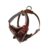 Conjunto de Arnés de Lujo para Perro, Tallas S/M/L, Nailon y Cuero, Arnés, Collar y Correa Ecológicos y Duraderos, Proveedor Mayorista