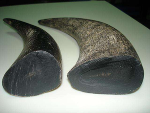 Punta de Cuerno de Búfalo Natural Tallada con Técnica de Estilo Amor, Impermeable, para Hacer Mangos de Cuchillos, Mangos de Espadas, Monturas de Gafas - Product Image 2