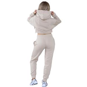 Femmes survêtements ensembles 2 pièces dames culture fermeture éclair à capuche décontracté confortable Joggers costume survêtement survêtement tenue décontracté RRI-TS-23 - Product Image 2
