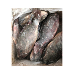Granja de tilapia congelada fresca, ultracongelada y envasada para el suministro a granel a los mercados globales - Product Image 4