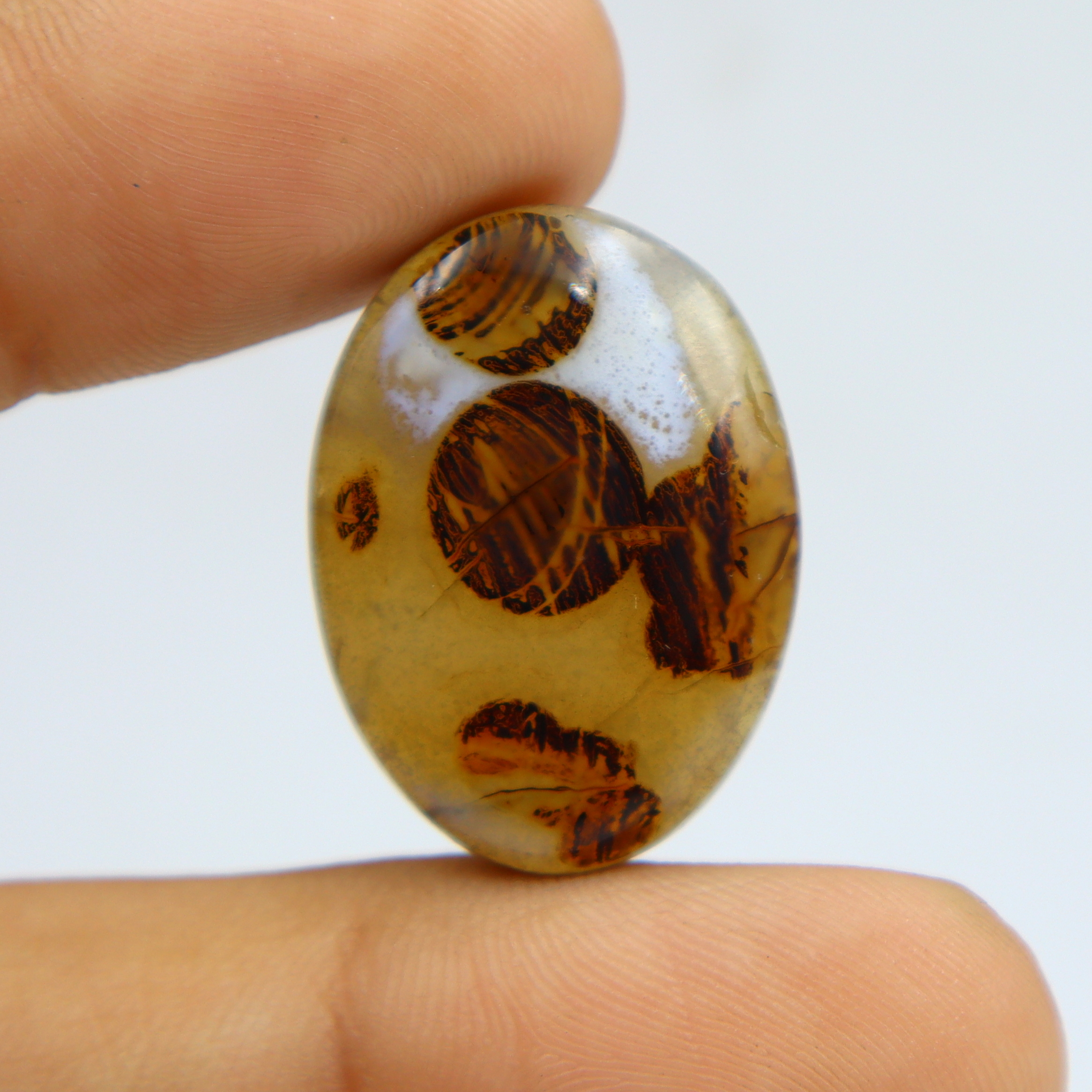 เช่นเดียวกับภาพ