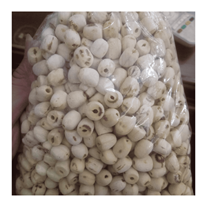 Graines de lotus séchées, matière première soigneusement sélectionnée, adaptées à la préparation alimentaire et aux formulations de desserts, fabriquées au Vietnam. - Product Image 2