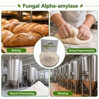 Poudre d'enzyme alpha-amylase fongique de qualité alimentaire 100 000 U/g pour la pâtisserie