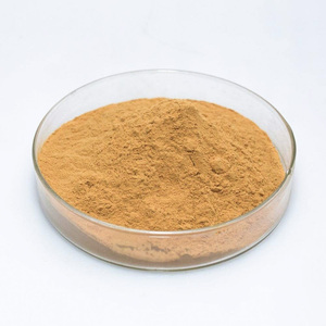 Suministro de fábrica superior, polvo de extracto de fruta de caqui puro, polvo de fruta natural con el precio más barato - Product Image 3