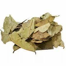 Hojas de Guanábana secas Premium/hojas de Graviola/té de Guanábana a los mejores precios. - Product Image 5