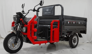 Triciclo Eléctrico de Carrocería Cerrada con Toldo para 4 Pasajeros Adultos, Potencia de 200-250W, 60V - Product Image 5