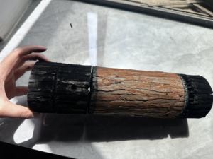 TOCH-TECH 1000W 1500W 2000W uzaktan kumanda ağaç kesme lazer silahi makine engel sökücü - Product Image 4