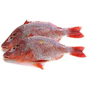 Poisson Rouge Entier Congelé de Haute Qualité, Pur, Biologique, Faible en Glucides, Processus BQF, Pack de 20kg en Gros, Prix de Gros, En Vente - Product Image 2