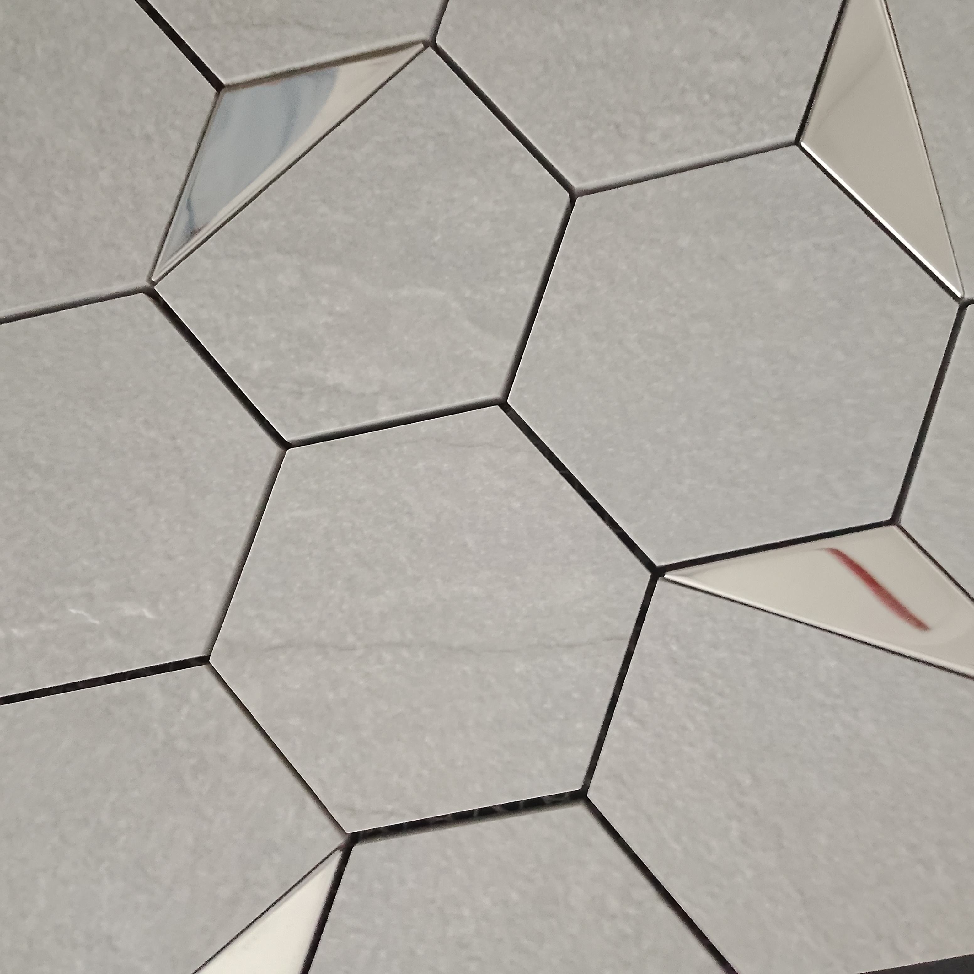 Brave Dolphin Silver