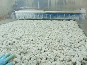 Fruits du dragon surgelés en vrac, rouges/blancs naturels, congélation LQF, cryopréservés, biologiques, qualité A/B, haute qualité, coupés en tranches et en cubes - Product Image 6