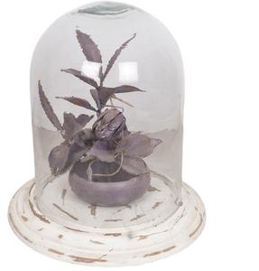 AB COLLECTIONS Cloche en verre Décorations de table pour Noël et Pâques Matériaux en fer et en verre Personnalisation de la forme et de la couleur Artisanat Modèle - Product Image 5