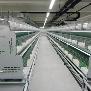 Matériel durable de <span class=keywords><strong>cage</strong></span> de lapin de style européen de double couche de ferme avec le bon prix - Product Image 6