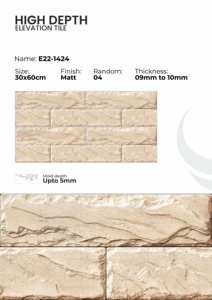 Azulejos de Porcelana para Fachadas Urbanas de 300x600 mm - Product Image 3