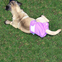 2025 nouveau Design confortable sans fuite tout absorber mâle enveloppes couches lavables couches réutilisables pour chiot chien sanitaire