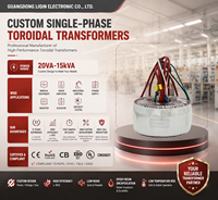 Transformateur de puissance toroïdal monophasé en cuivre 200VA, entrée 220V, sortie 48V/24V/12V, 50/60Hz pour audio, LED, médical, chargeur EV