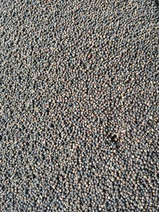 Anna DO ขายส่งเครื่องเทศเดียวและสมุนไพร600GL 500GL 550GL 5mm พริกไทยดำดิบแห้งจากเวียดนามสะอาด/คำถาม/Asta ได้รับการรับรอง - Product Image 3