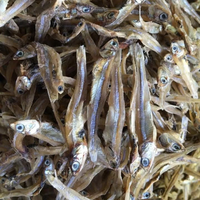 VENTE CHAUDE 2024 POISSON D'ANCHOIS SÉCHÉS EN VRAC/ANCHOIS SÉCHÉS DU FOURNISSEUR DU VIET NAM AU MEILLEUR PRIX