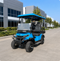 Voiturette de golf électrique 4 places UCB-12 – Performance haute fidélité pour professionnels B2B – Buggy de luxe pour complexes hôteliers – Exportation