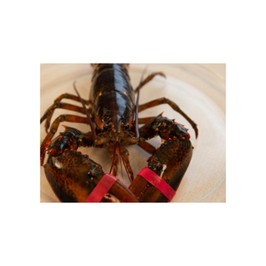 กุ้งนึ่ง, กุ้งบีสเตอร์อาหารทะเลสดๆ - Product Image 5