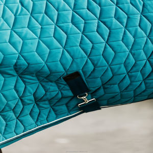 Couverture imperméable pour cheval, marron avec bordure turquoise, en tissu Oxford, toutes saisons, usage extérieur, 2 sangles de jambe, col standard, grande queue. - Product Image 2