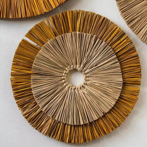 Decoración de pared de algas marinas, colgante de pared, decoración del hogar, accesorios de decoración del hogar altamente estéticos, venta al por mayor. - Product Image 1