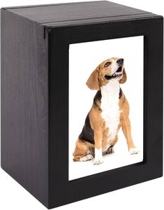 Urnes commémoratives modernes pour animaux de compagnie de Style américain de haute qualité - Product Image 3