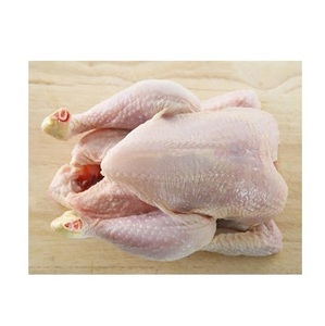 ไก่แช่แข็งทั้งตัว ฮาลาล คุณภาพสูง ราคาส่งถูก |   ไก่แช่แข็งทั้งตัวและเป็นชิ้นๆ ขาย - Product Image 1