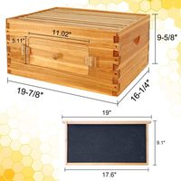 Ruche complète Langstroth avec fenêtre, 100% en cire d'abeille, avec cadres et fondation