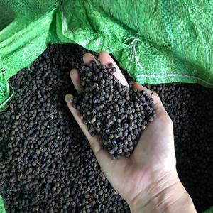 Poivre noir de haute qualité |   Épices et herbes en gros |   Expédition en Europe - Product Image 4