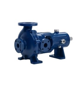 Pompe à aspiration latérale horizontale de qualité industrielle SHFPP pour un transfert d'eau fiable en milieu commercial, disponible à la vente - Product Image 4