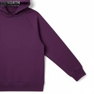 Sweat à capuche surdimensionné avec logo personnalisé hommes Streetwear haute qualité polaire coton broderie couleur sweats à capuche fabricants hommes 450 gsm sweat à capuche - Product Image 3